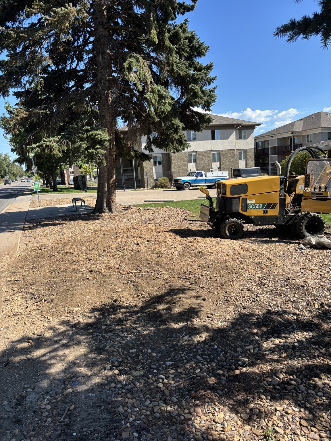 Commercial stump grinding with Vermeer equipment at a Fort Collins apartment complex
